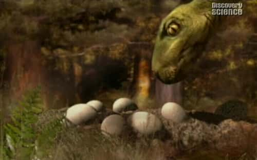 ¼ƬʧĿ Lost Dinosaurs of New ZealandĻ/Ļ