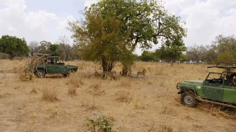 ¼Ƭޱʨ Lion of Zambia1080P-Ļ/Ļ