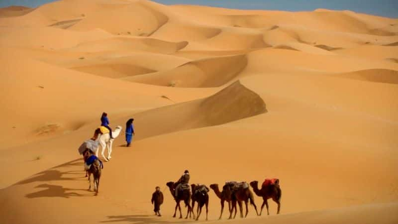 ¼ƬĦ絽͢Ϳͼðգϵ 1 Morocco to Timbuktu: An Arabian Adventure: Series 1ȫ1-Ļ/Ļ