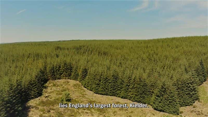 ¼Ƭ߽ɭüڣϵ 1 Inside the Forest Seasons of Wonder: Series 11080P-Ļ/Ļ