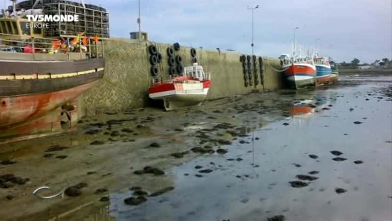 ¼ƬĪ˹Ʒé˹˹ʲ Morlaix, Roscoff, Plymouth: Douce Mancheȫ1-Ļ/Ļ