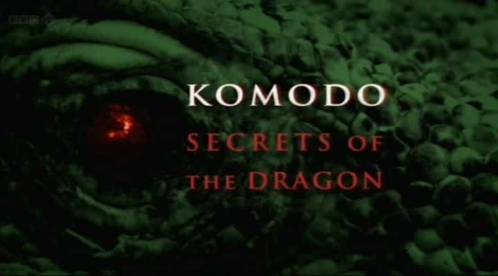 ¼ƬĪ -  Komodo - Secrets of the Dragonȫ1-Ļ/Ļ