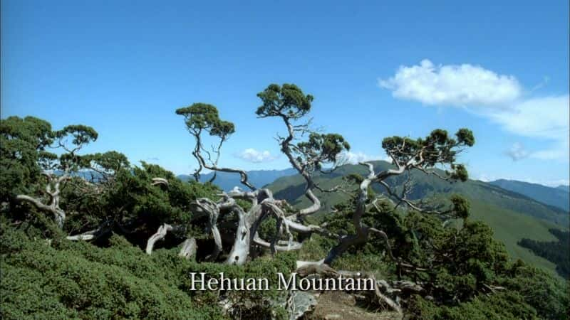 ¼ƬĦɳ̨ - ɽ뺣Ľ㴦 Ilha Formosa: Taiwan - Where Mountains Meet the SeaĻ/Ļ