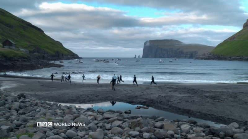 ¼Ƭ; The Islands and the Whales1080Pȫ1-Ļ/Ļ