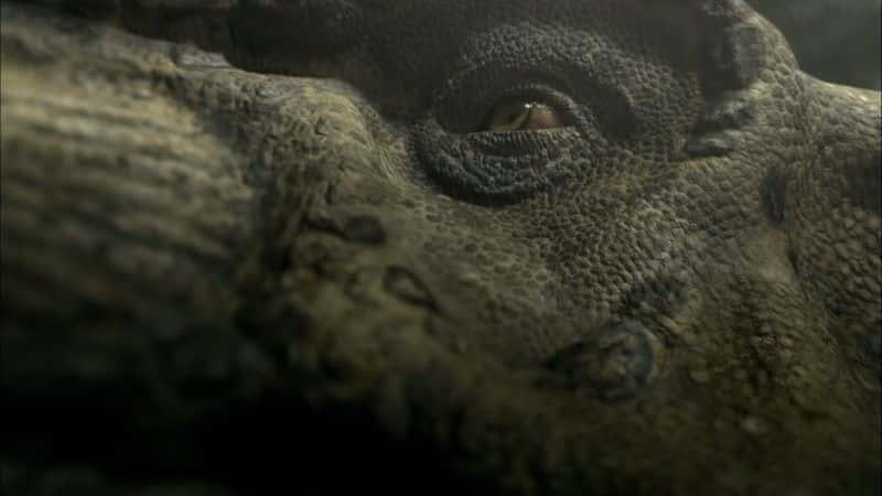 ¼Ƭһ죨֣ Last Day of the Dinosaurs (Discovery)1080Pȫ1-Ļ/Ļ