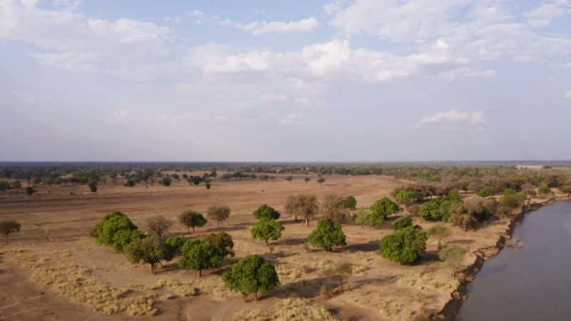 ¼Ƭޱʨ Lion of Zambia1080P-Ļ/Ļ