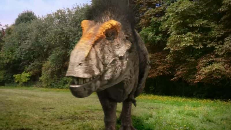 ¼Ƭıʣİ The Nature of Things: The Real T. Rex1080P-Ļ/Ļ