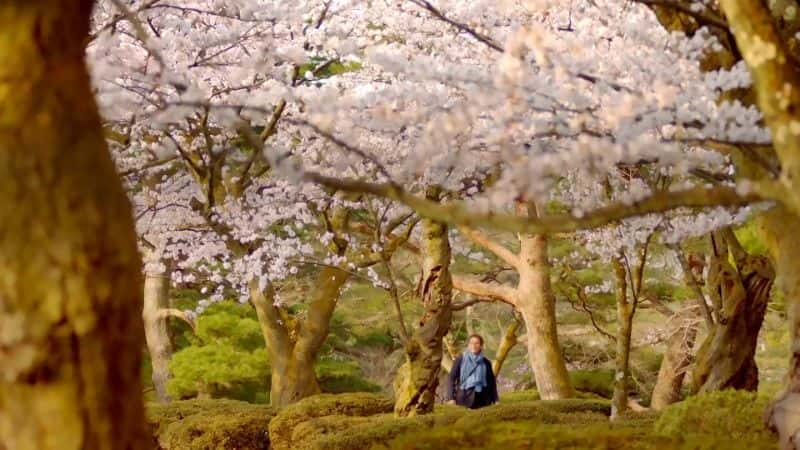 ¼Ƭձ԰BBC Japanese Gardens (BBC)1080P-Ļ/Ļ