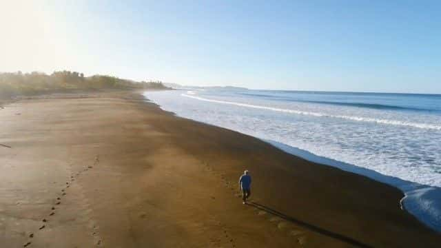 ¼ƬȻĺ걣 (BBC) Nature's Turtle Nursery (BBC)1080Pȫ1-Ļ/Ļ