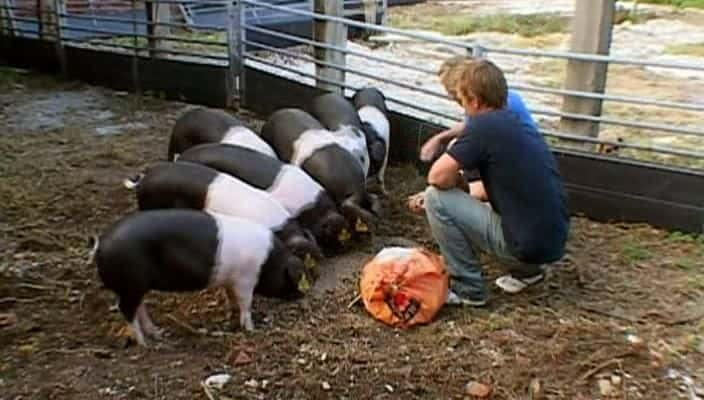 ¼Ƭ׵ũϵ 1 Jimmy's Farm Series 1720P-Ļ/Ļ