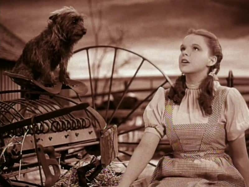 ¼ƬϡԼ Judy Garland: By Myself720P-Ļ/Ļ