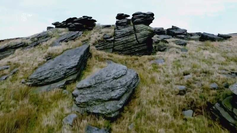 ¼Ƭ׵ϣ 50  Ian Brady: 50 Years Behind BarsĻ/Ļ