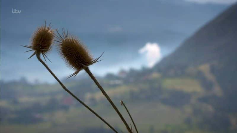 ¼Ƭ˹Ǻй Mali, Bosnia and China1080Pȫ1-Ļ/Ļ