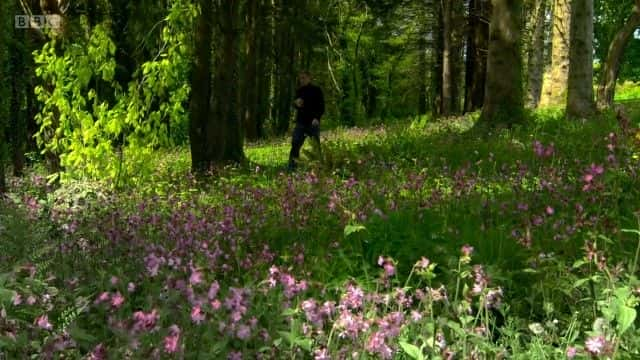 纪录片《艾奥洛的彭布罗克郡系列 1 Iolo's Pembrokeshire Series 1》[无字][BT][720P]资源下载