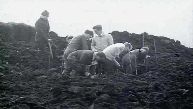 ¼Ƭ׵ϣ 50  Ian Brady: 50 Years Behind BarsĻ/Ļ