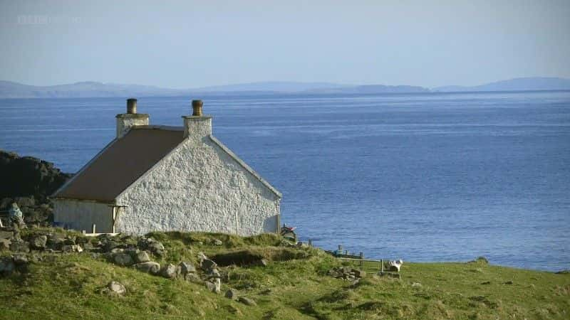 ¼Ƭĺ (BBC) The Last Seabird Summer (BBC)1080Pȫ2-Ļ/Ļ