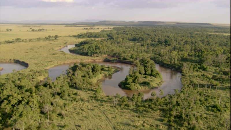 ¼Ƭ Masai Mara: The Big Hunt1080P-Ļ/Ļ