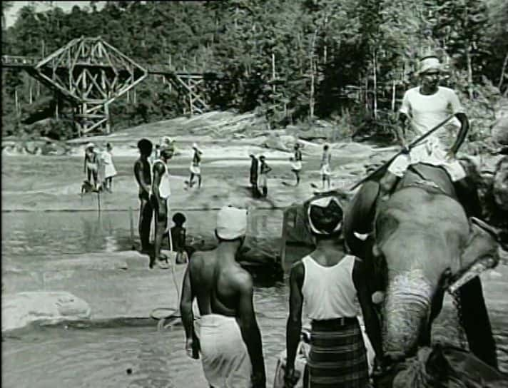 ¼ƬӴŵ The Making of Bridge on the River KwaiĻ/Ļ