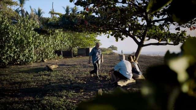 ¼ƬȻĺ걣 (BBC) Nature's Turtle Nursery (BBC)1080Pȫ1-Ļ/Ļ