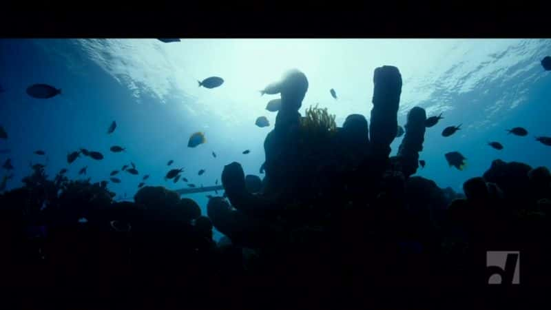 ¼Ƭܸ꣺ˮ Jago: A Life Underwater1080Pȫ1-Ļ/Ļ