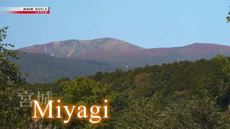 ¼ƬǣᶨƵľ Miyagi: An Unshaken Spiritȫ1-Ļ/Ļ