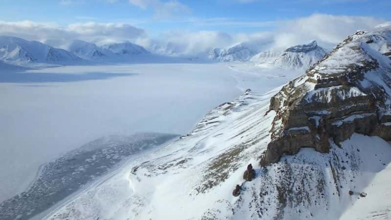 ¼Ƭ뱱ܵó My Journey with a Polar Bear1080P-Ļ/Ļ