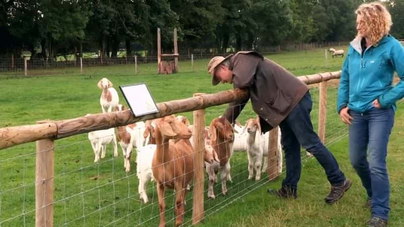 ¼Ƭء಼ҺҵȮ Kate Humble: My Sheepdog and MeĻ/Ļ