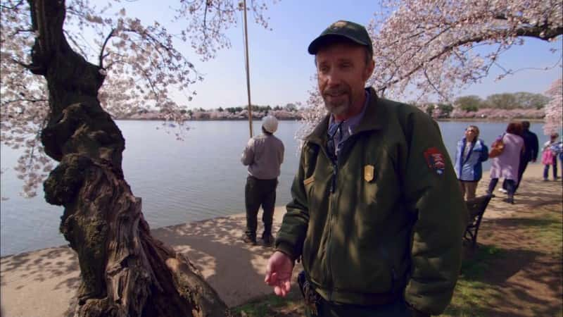 ¼Ƭҹ㳡ǰԺ National Mall: America's Front YardĻ/Ļ