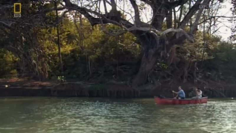 ¼ƬһӾ The Man Who Swims with CrocodilesĻ/Ļ