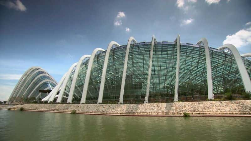 ¼Ƭͽ廨԰ MegaStructures: Gardens by the Bay1080P-Ļ/Ļ