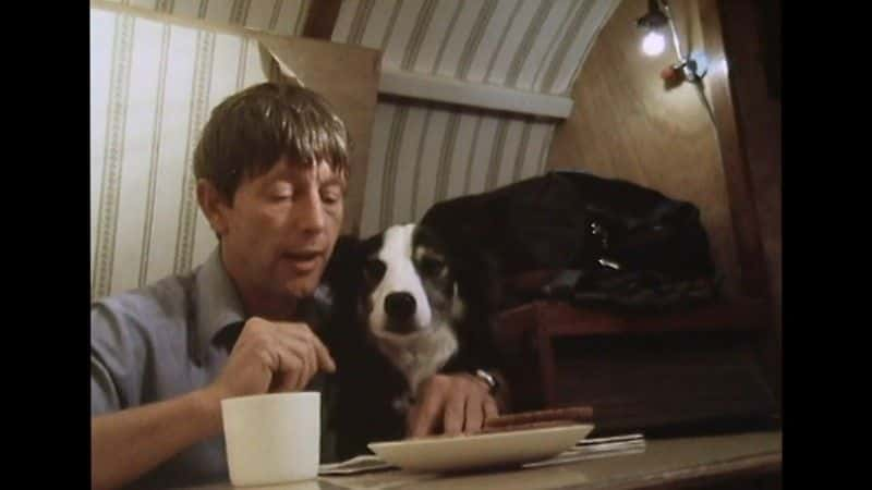 ¼ƬԼŵ˹Ӣ John Noakes: TV Heroȫ1-Ļ/Ļ