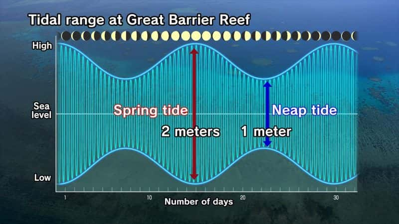 ¼Ƭ󱤽ϵ The Moons Spell on the Great Barrier Reef1080P-Ļ/Ļ