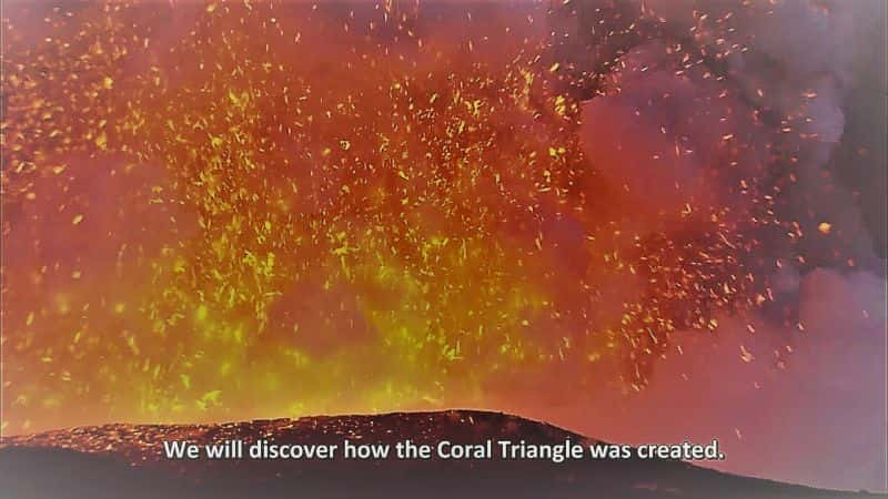 ¼ƬȻΰɺϵ1 Natures Greatest Secret the Coral Triangle Series 11080P-Ļ/Ļ