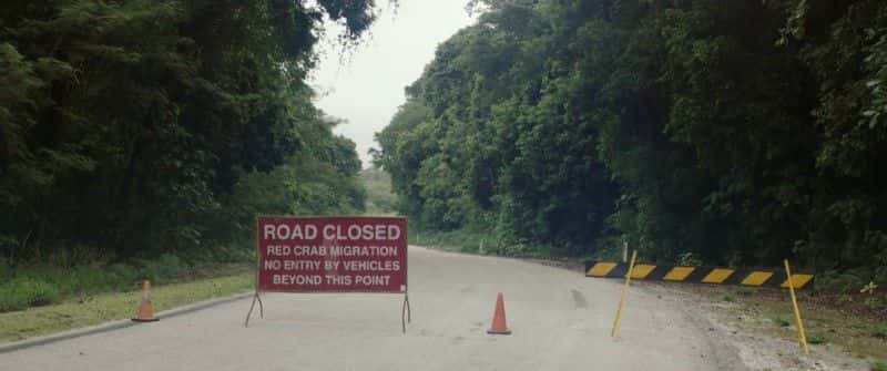 ¼Ƭ Island of the Hungry Ghosts1080Pȫ1-Ļ/Ļ