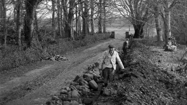 ¼Ƭ˿ʧƬ The Lost Photographs of Mary Alice Young1080Pȫ1-Ļ/Ļ