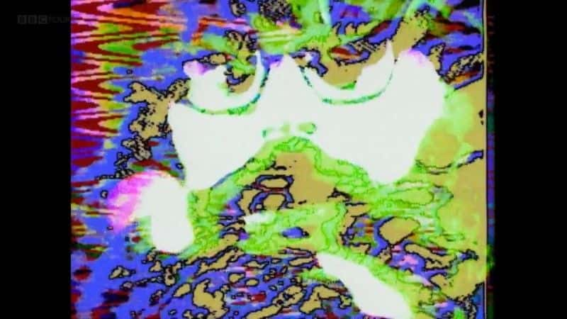 ¼ƬصĵӣķĪֵƵ Kill Your TV: Jim Moir's Weird World of Video Artȫ1-Ļ/Ļ