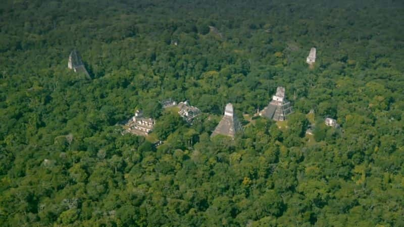 ¼Ƭʧı Lost Treasures of the Maya Snake KingsĻ/Ļ