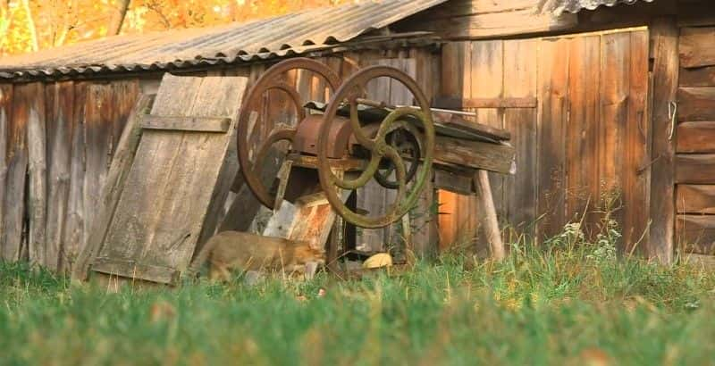 纪录片《在切尔诺贝利的阴影下 In the Shadow of Chernobyl》[无字][BT][1080P]资源下载