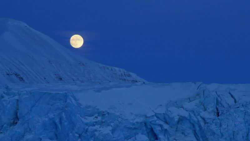 ¼Ƭ뱱ܵó My Journey with a Polar Bear1080P-Ļ/Ļ