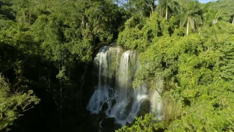 ¼ƬȻŰͿҰ Nature: Cubas Wild Revolution1080P-Ļ/Ļ