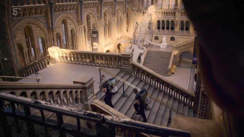 ¼ƬȻʷ漣磺ϵ 1  4  Natural History Museum World of Wonder: Series 1 Part 41080P-Ļ/Ļ