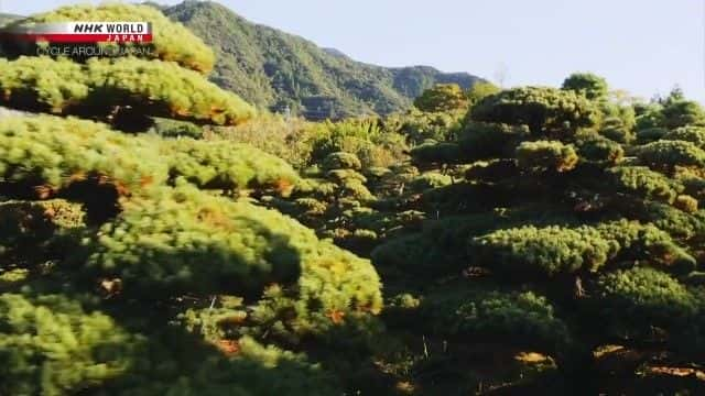 ¼Ƭ飺 Nagasaki: Free to Enjoy Lifeȫ1-Ļ/Ļ