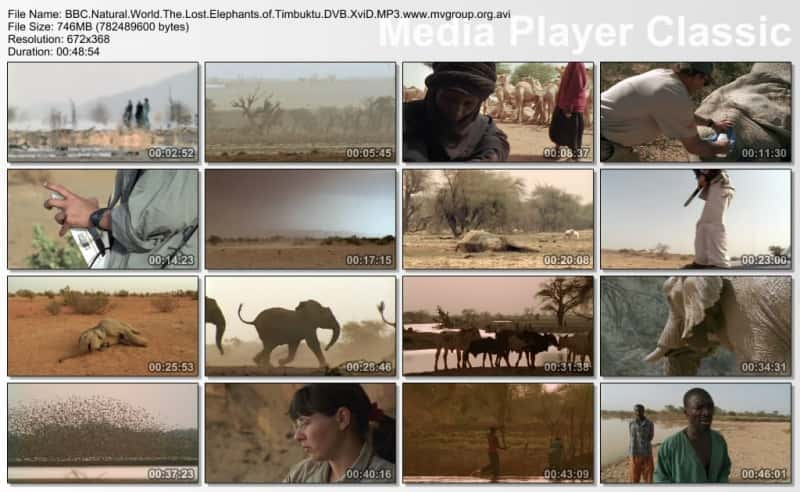 纪录片《廷巴克图失踪的大象 The Lost Elephants of Timbuktu》[无字][BT][1080P]资源下载