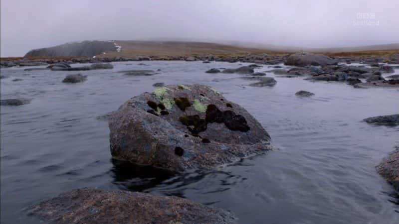 ¼Ƭɽķ֮ (BBC) The Living Mountain: A Cairngorms Journey (BBC)1080Pȫ1-Ļ/Ļ