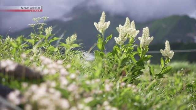 ¼Ƭʮɽͽ Juusou Hiking in the Tateyama Mountainsȫ1-Ļ/Ļ