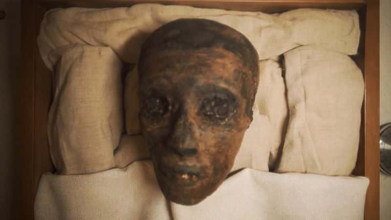 ¼Ƭľ⿪ͼ̹ɹĹ Mummies Unwrapped: Fire in King Tuts TombĻ/Ļ