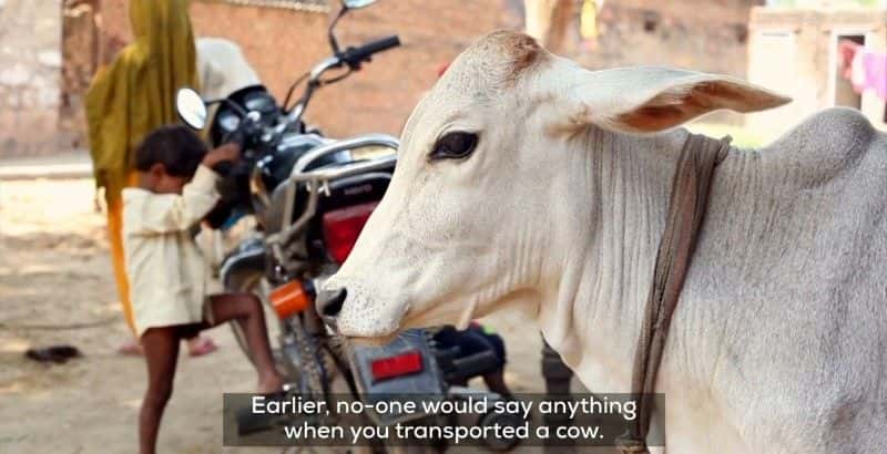 ¼Ƭӡȵţΰά (BBC) India's Cow Vigilantes (BBC)Ļ/Ļ