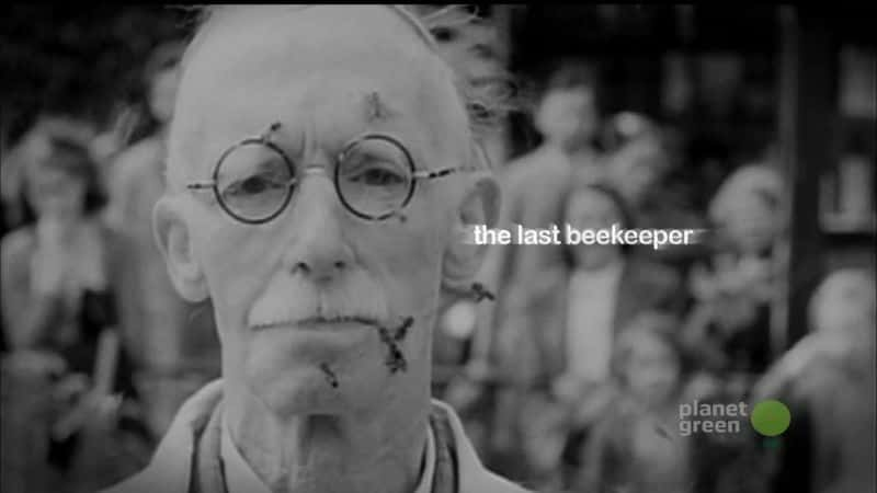 ¼Ƭ The Last BeekeeperĻ/Ļ