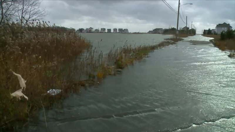 ¼Ƭ̲ܺˮ Miami Beach UnderwaterĻ/Ļ