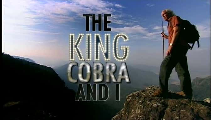 ¼Ƭ۾ߺ The King Cobra and IĻ/Ļ